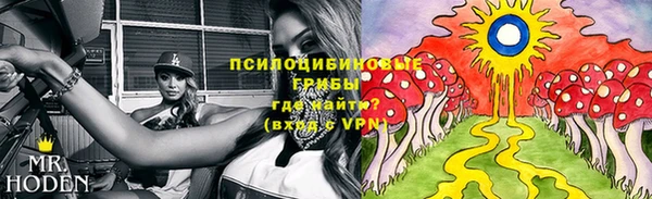прущие грибы Абдулино