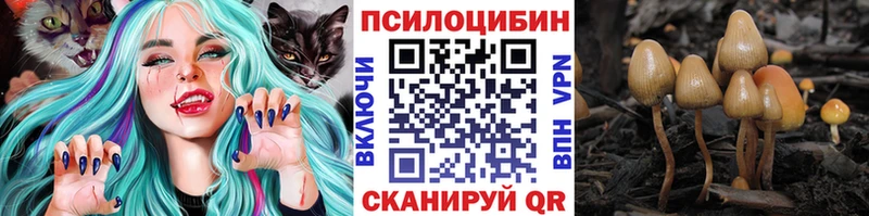 Псилоцибиновые грибы Psilocybine cubensis  купить  сайты  Пучеж 